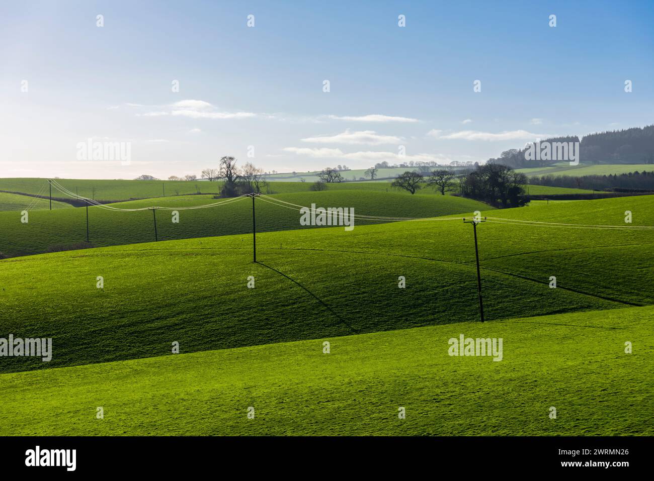 Câbles aériens de transport d'électricité de 33kv traversant la campagne près de Stogumber, Somerset, Angleterre. Banque D'Images