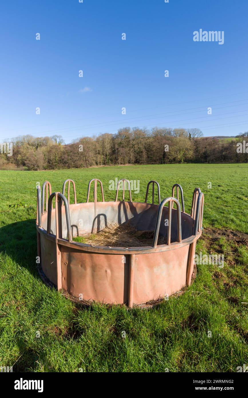 Une mangeoire circulaire dans un champ en hiver près de Stogumber, Somerset, Angleterre. Banque D'Images