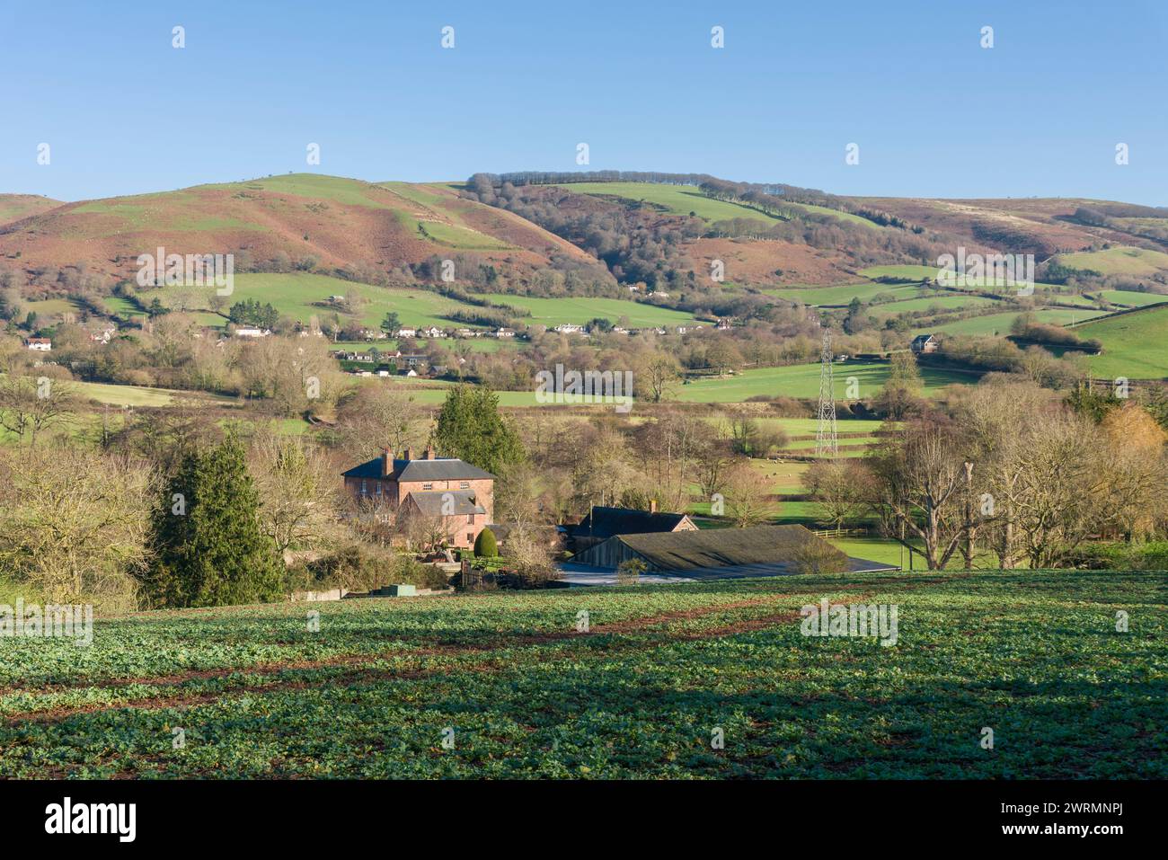 Curdon Farm à Lower Vellow avec le flanc ouest du paysage national de Quantock Hills au-delà, Somerset, Angleterre. Banque D'Images