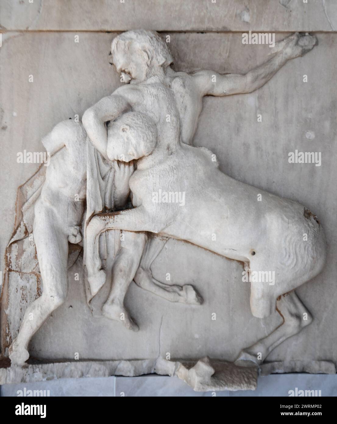 Musée de l'Acropole : sculpture en relief de cavaliers, de la frise du Parthénon. Athènes. Grèce Banque D'Images