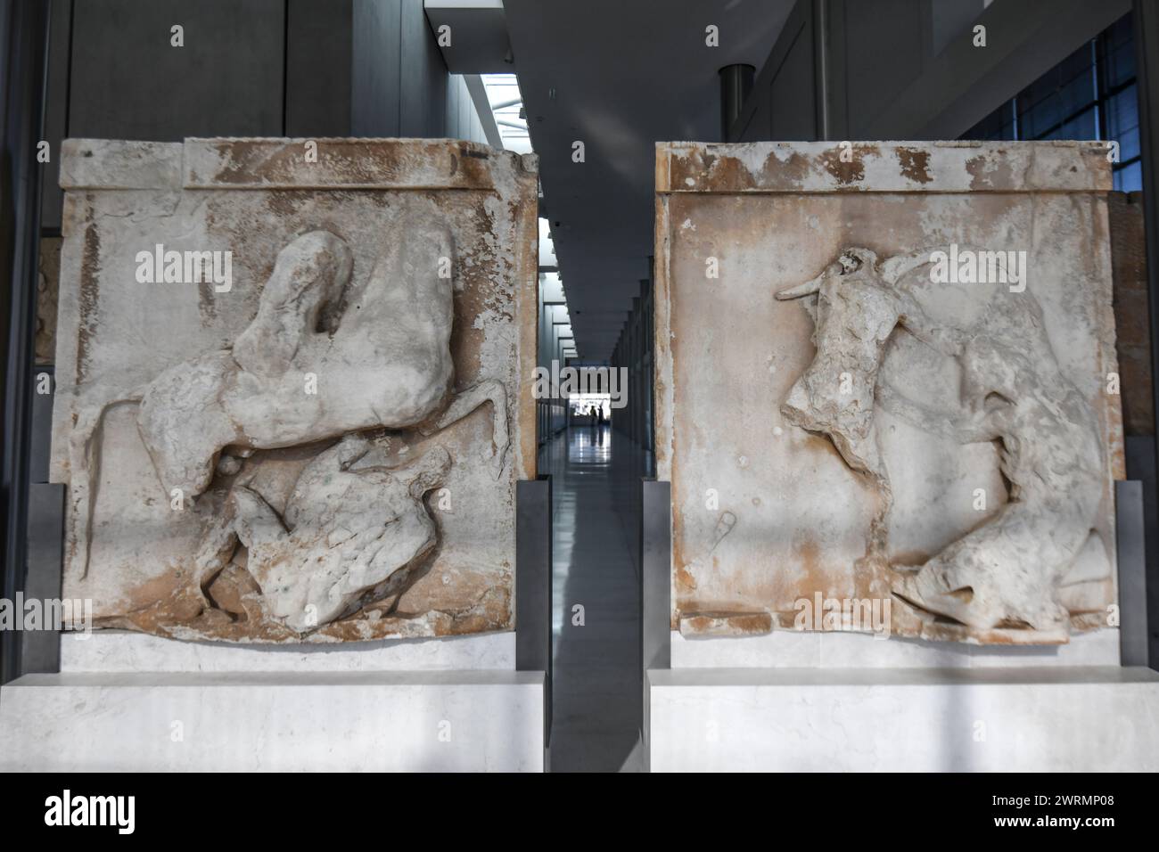 Musée de l'Acropole : sculpture en relief de cavaliers, de la frise du Parthénon. Athènes. Grèce Banque D'Images