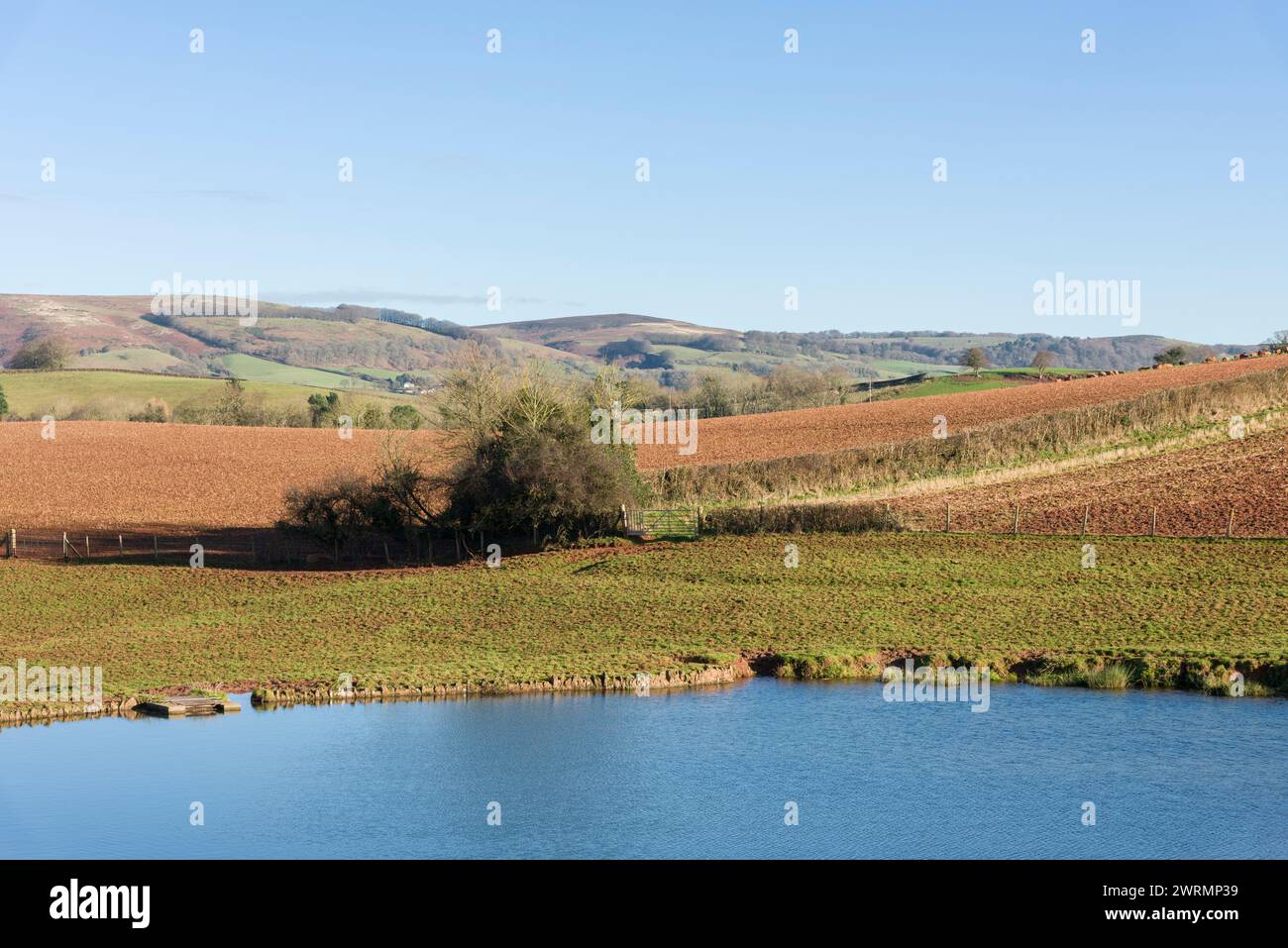Un étang au hameau d'Escott près de Stogumber avec les collines Quantock au-delà, Somerset, Angleterre. Banque D'Images