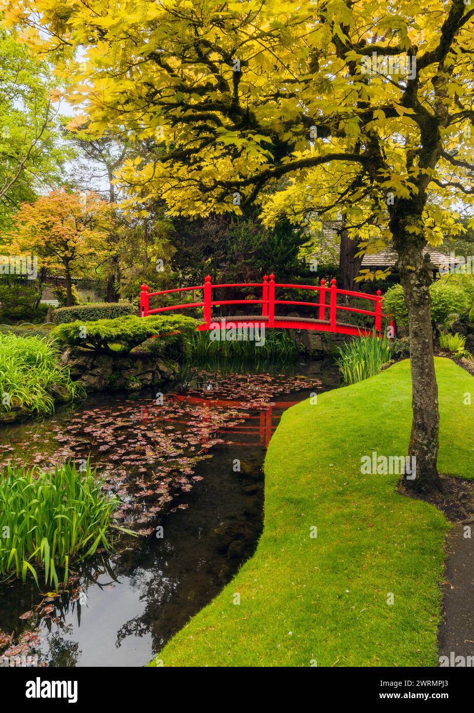 Le pont rouge dans les jardins japonais dans le haras national, comté de Kildare, Irlande Banque D'Images