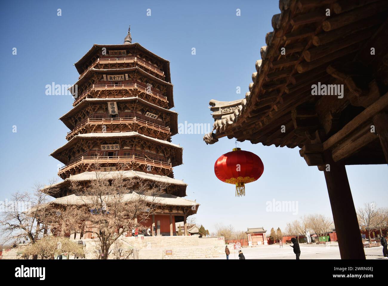 La pagode Shakya du temple du palais de Bouddha, reconnue comme la plus ancienne structure en bois pur du monde, se tient à Shuozhou, en Chine, le 13 mars 2024. La pagode, qui culmine à 67,31 mètres avec un diamètre de base de 30,27 mètres et pèse plus de 7400 tonnes, est la seule ancienne structure en bois pur de grande taille de son genre. Remarquablement, la tour entière est construite sans un seul clou de fer, reposant uniquement sur des composants en bois imbriqués. Elle a été certifiée par le Guinness World Records en 2016 comme la plus haute tour en bois du monde. (Photo de Costfoto/NurPhoto) Banque D'Images