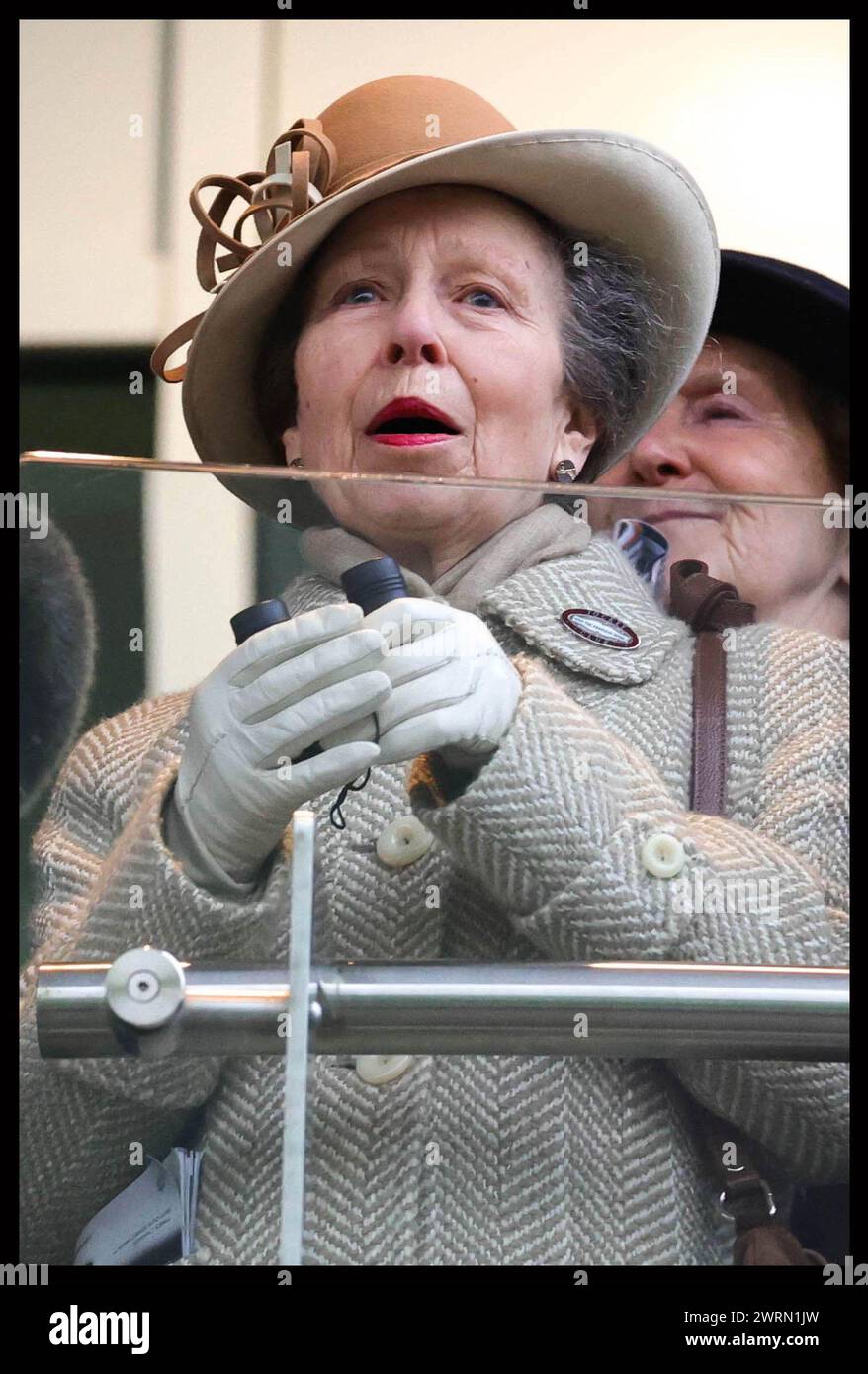 Cheltenham, Royaume-Uni. 13 mars 2024. Image © concédée sous licence à Parsons Media. 13/03/2024. Cheltenham, Royaume-Uni. Festival de Cheltenham - deuxième jour. La princesse Anne assiste au deuxième jour du Festival de Cheltenham qui se tient à l'hippodrome de Cheltenham. Photo par crédit : andrew parsons/Alamy Live News Banque D'Images