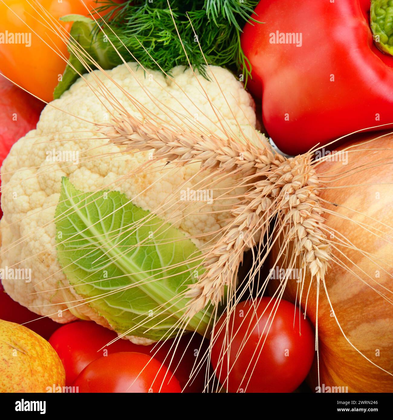 Fond lumineux de la collection de fruits et légumes. Banque D'Images