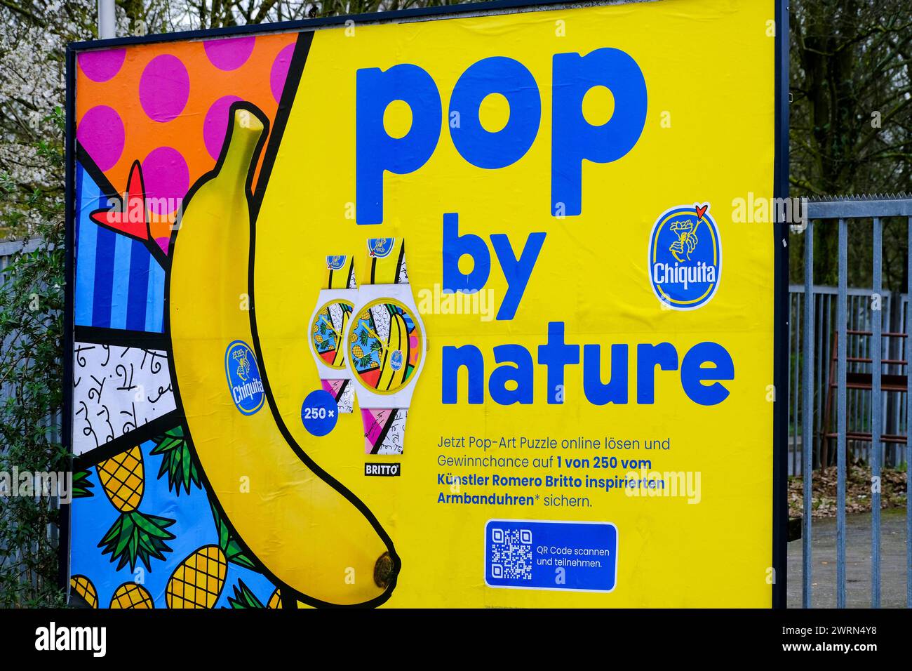 Düsseldorf 13.03.2024 Chiquita Bananen Pop par nature Pop-Art-Puzzle Armbanduhren Künstler Romero Britto Düsseldorf Nordrhein-Westfalen Deutschland *** Düsseldorf 13 03 2024 Chiquita Bananas Pop par nature Pop Art Puzzle montres-bracelets artiste Romero Britto Düsseldorf Rhénanie du Nord Westphalie Allemagne Banque D'Images