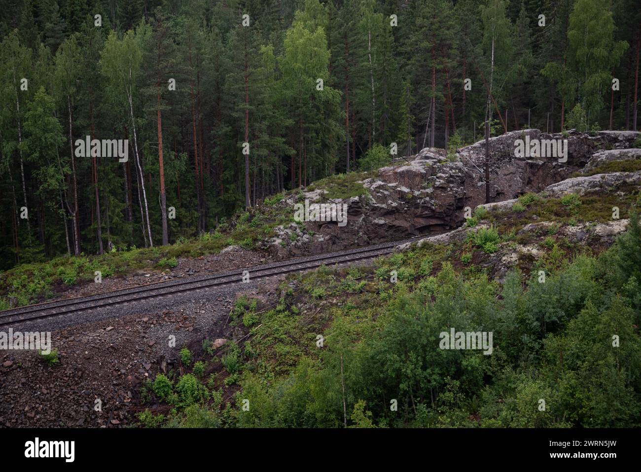 Voie ferrée avec un tunnel creusé à travers les montagnes, un rocher en Norvège, entouré d'une forêt d'arbres verts. Banque D'Images