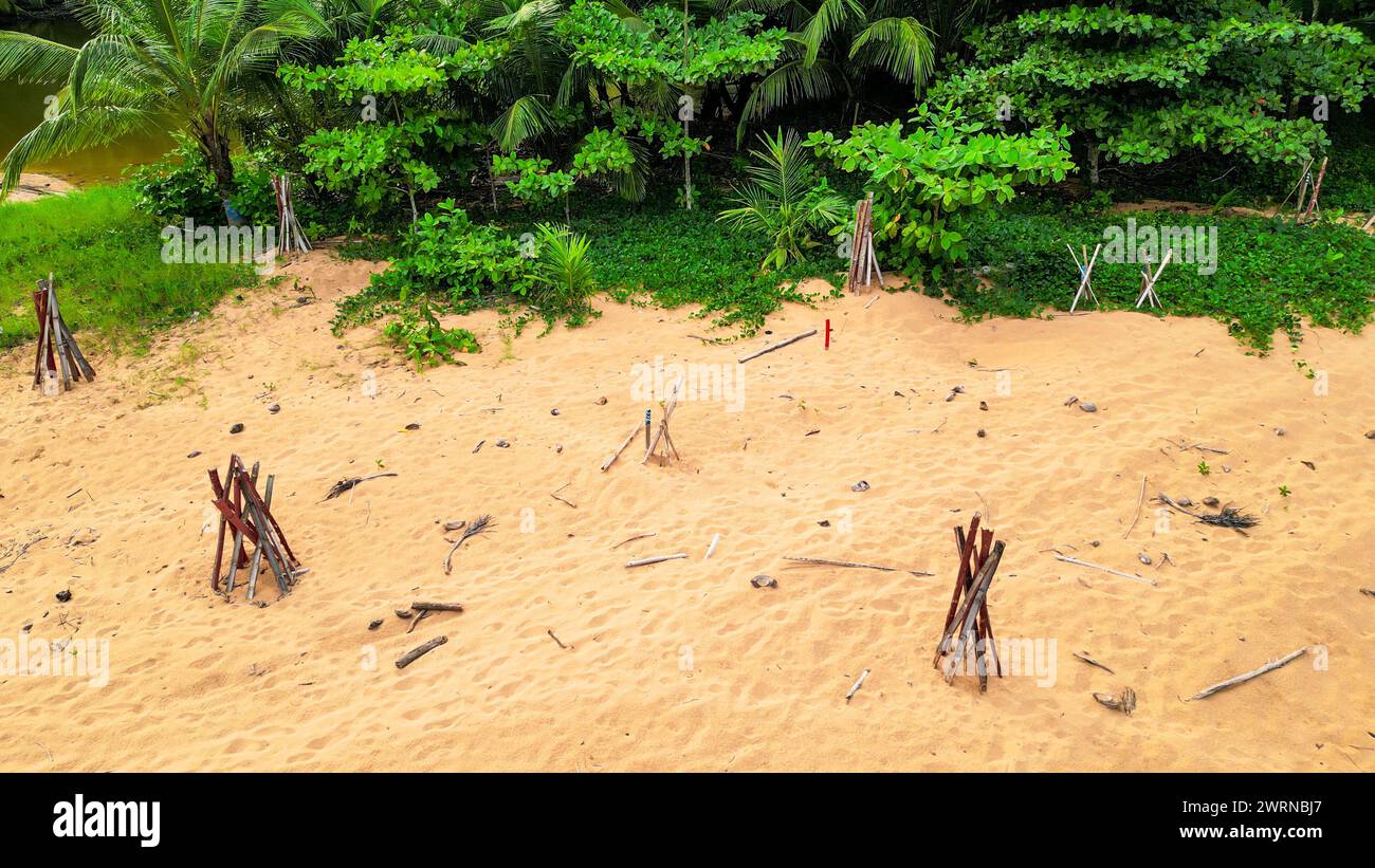 Vue aérienne des sites marqués par des piquets de nids de tortues à a Praia Grande un sanctuaire de tortues à Prince Island, Sao Tomé, Afrique Banque D'Images