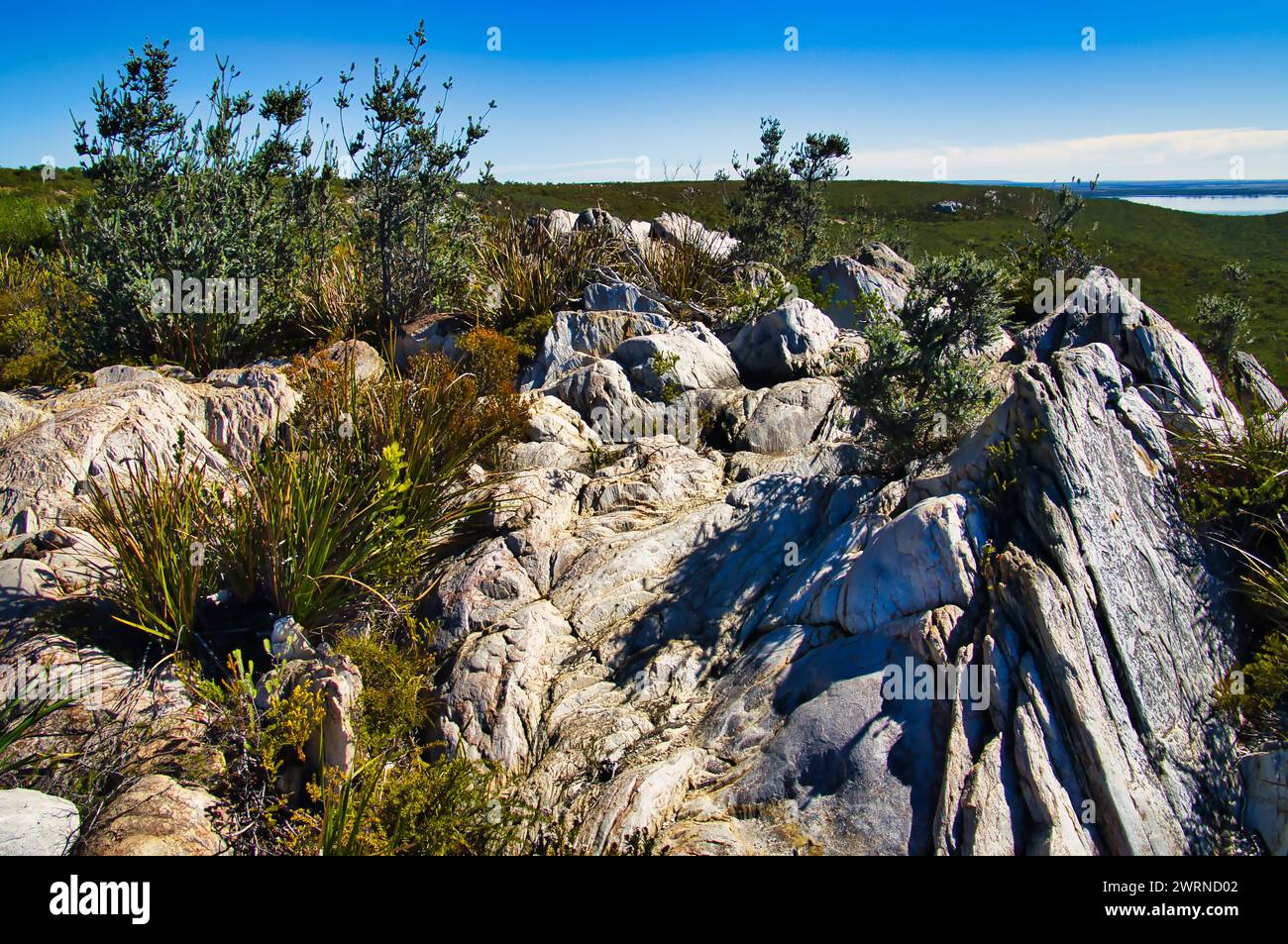 Roches et végétation côtière sur le mont Barren dans le parc national Fitzgerald, Hopetoun, Australie occidentale Banque D'Images