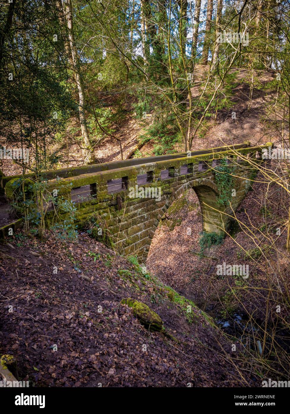 Pont de la chapelle dans les bois de Chapel, Styal, Cheshire. Banque D'Images