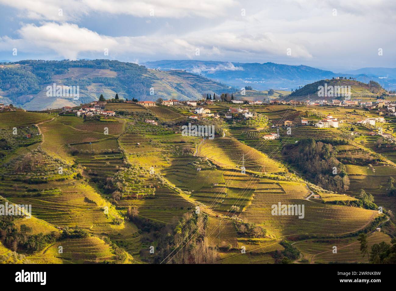 Vue sur la vallée du Douro avec les vignobles des champs en terrasses. Photographié au printemps, Portugal Banque D'Images
