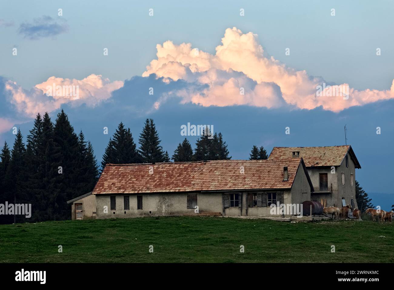 Malga Seconda Posta et les nuages au coucher du soleil. Alpe Cimbra. Folgaria Trentino, Italie. Banque D'Images