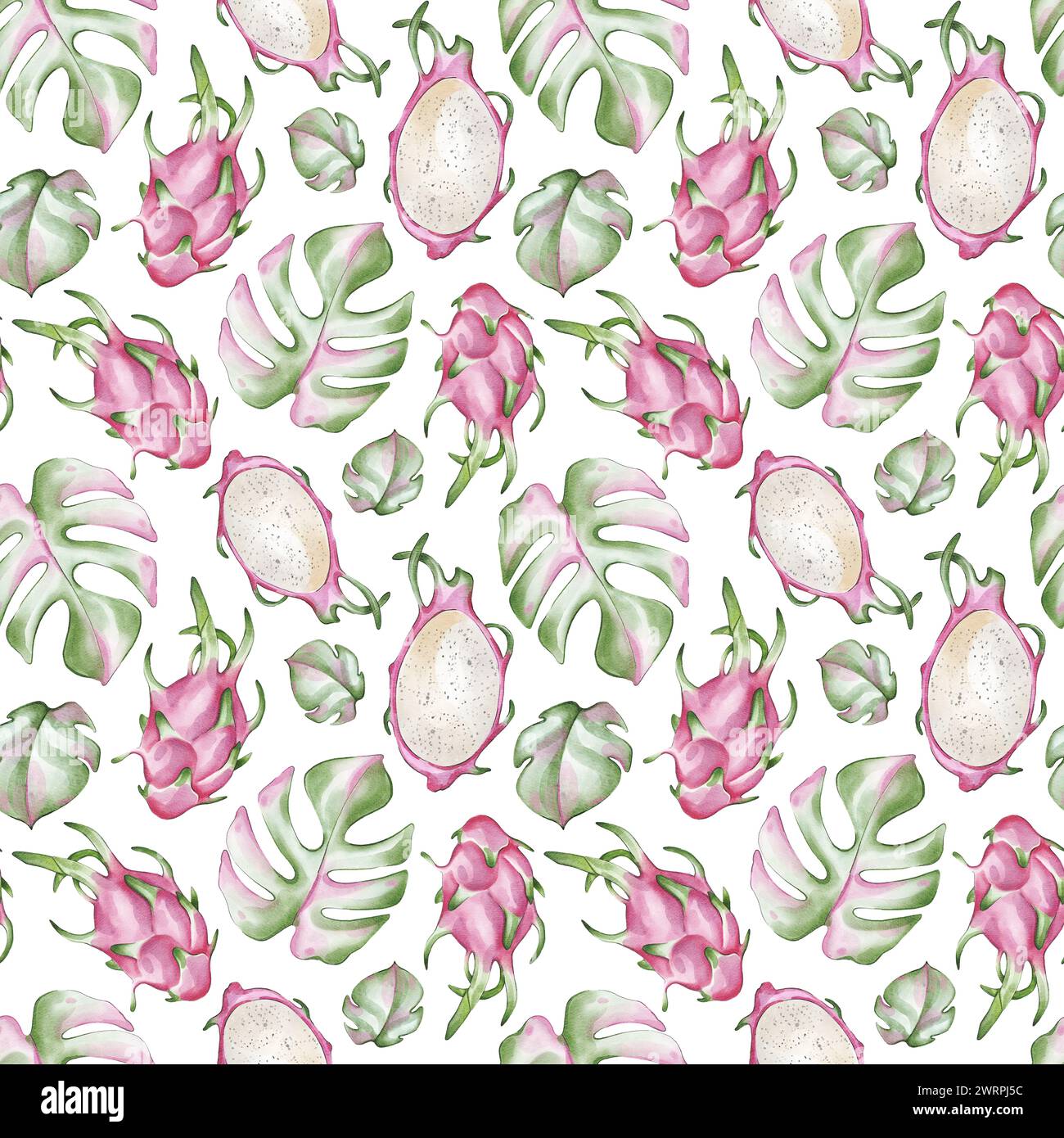 Modèle sans couture avec fruit de dragon aquarelle et feuilles de monstera Banque D'Images