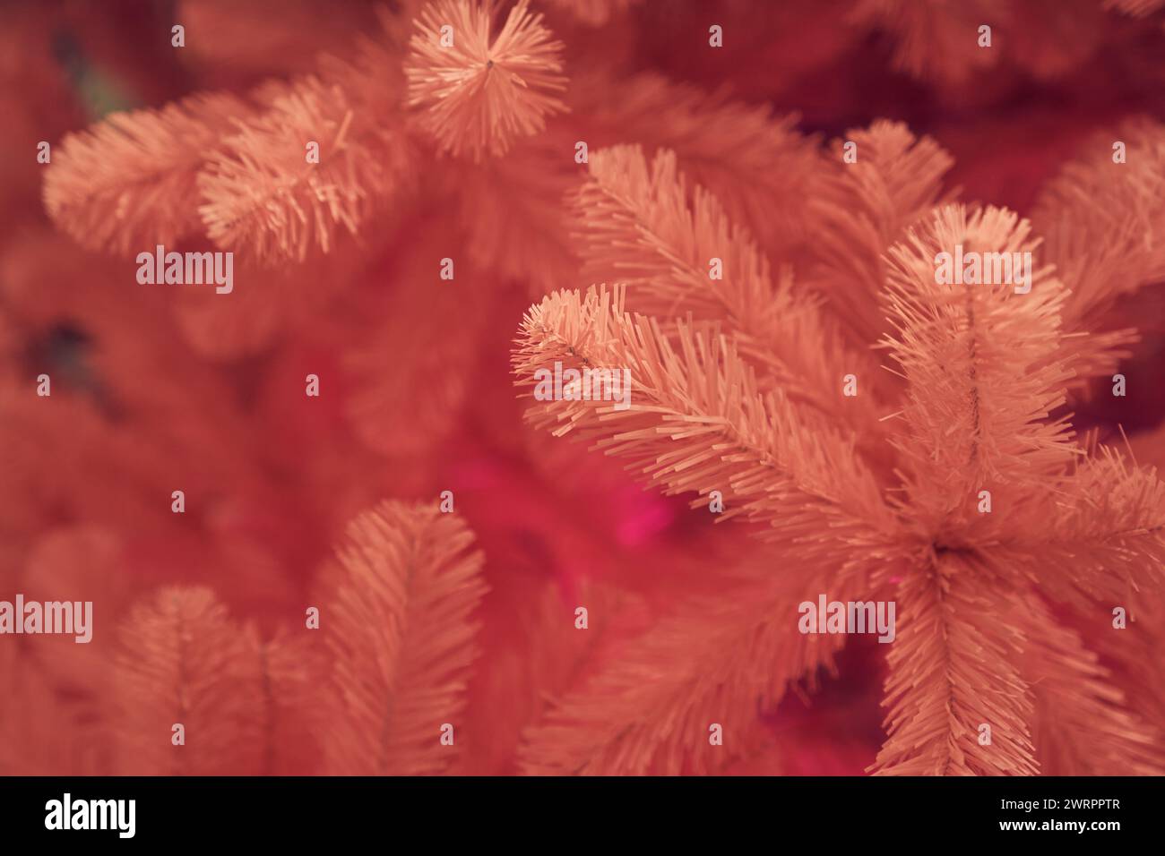 Vue latérale de l'arbre de Noël rose, fond avec espace de copie. Branches d'arbres avec foyer sélectif, bokeh. Concept de fond texturé, cartes de vœux, félicitations, décor, papier peint. Banque D'Images