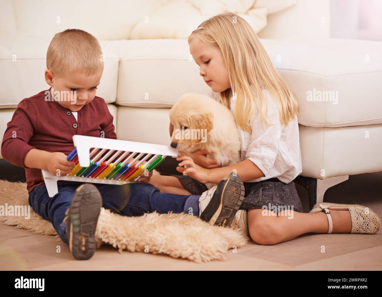 Enfants, chiot et enfant jouet dans une maison avec le développement des animaux, des animaux de compagnie et des jeunes dans un salon. Golden retriever, boulier et plaisir avec chien ensemble par Banque D'Images