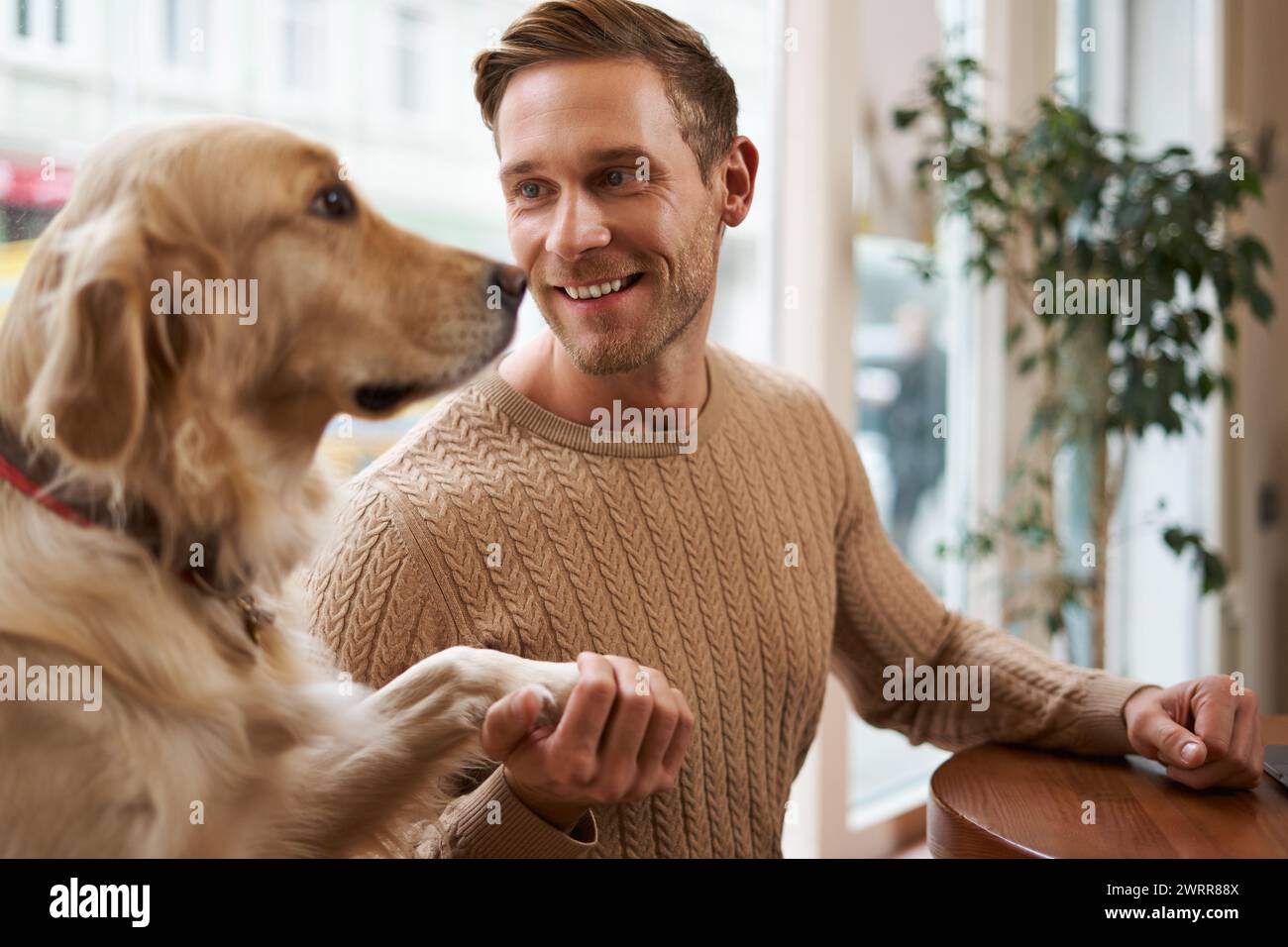 Gros plan portrait de chien intelligent mignon donne la patte à son propriétaire. Bel homme avec son Golden retriever assis dans un café acceptant les animaux Banque D'Images