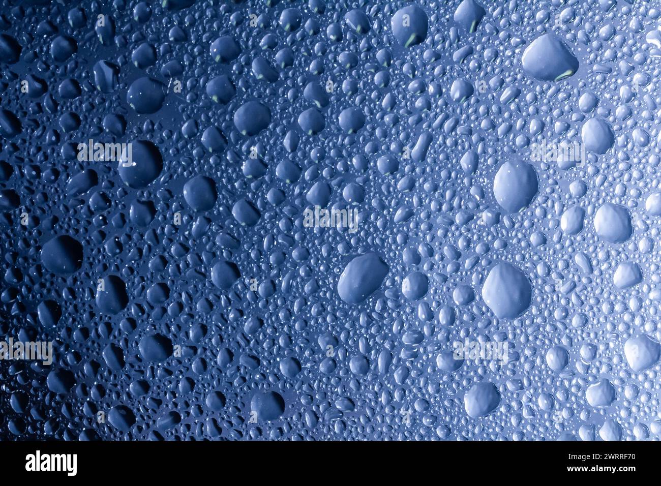 Gouttes d'eau sur un fond de couleur. Focus sélectif. Gris. Banque D'Images