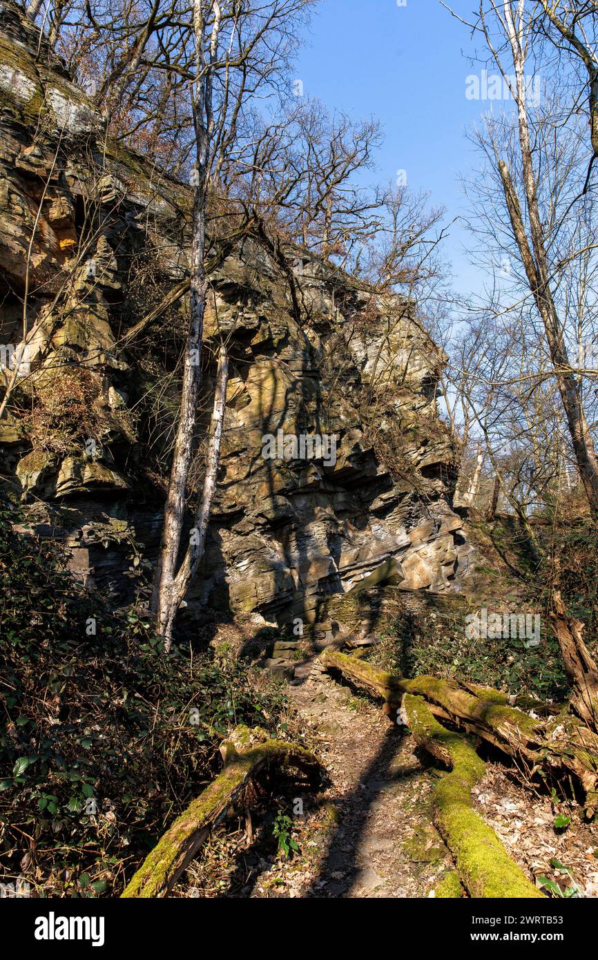 Roche de grès dans la forêt sur la piste de Ruhrhoehen dans les montagnes Ardey près de Herdecke, Rhénanie du Nord-Westphalie, Allemagne. Sandsteinfelsen im Wald Am Banque D'Images