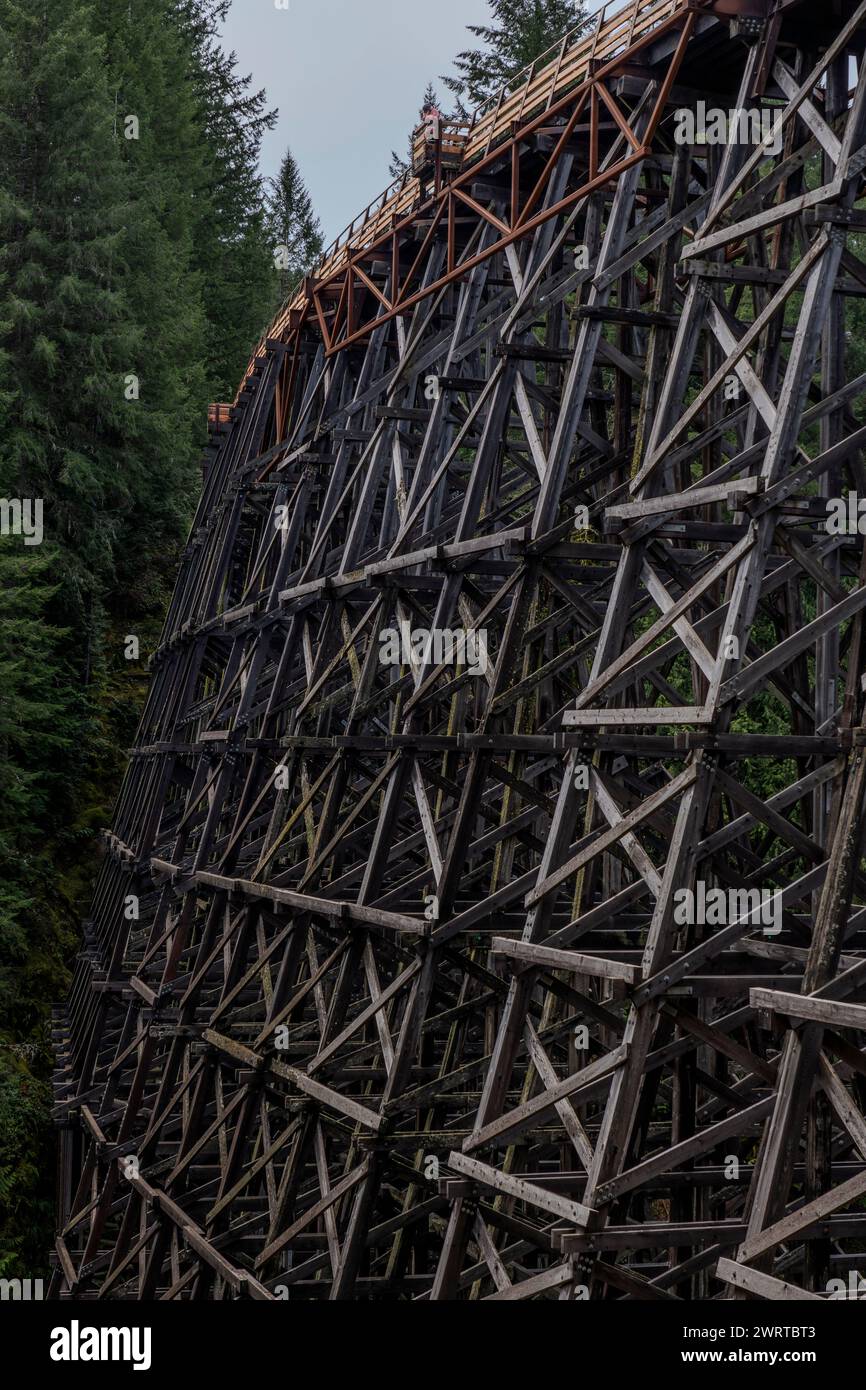 Le tréteau Kinsol au-dessus de la rivière Koksilah, qui fait maintenant partie du sentier de la vallée de Cowichan dans le lac Shawnigan, Colombie-Britannique, Canada. Banque D'Images