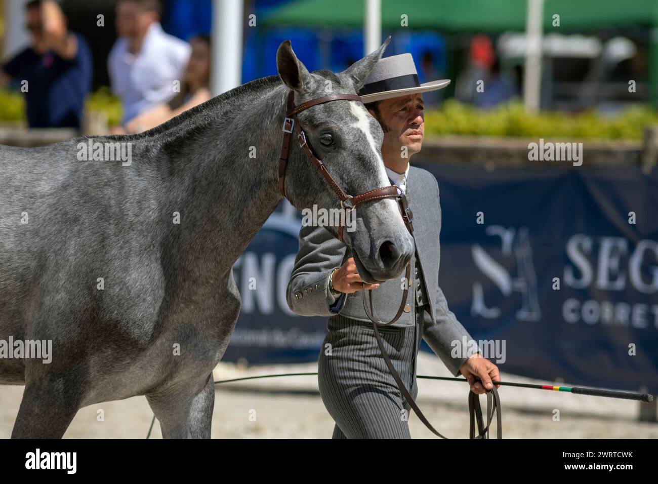 Portugal, Oeste et région du Vale do Tejo, Golega, Homme en costume traditionnel présentant un colt au public lors de la foire aux chevaux « Mares and Foals » Banque D'Images