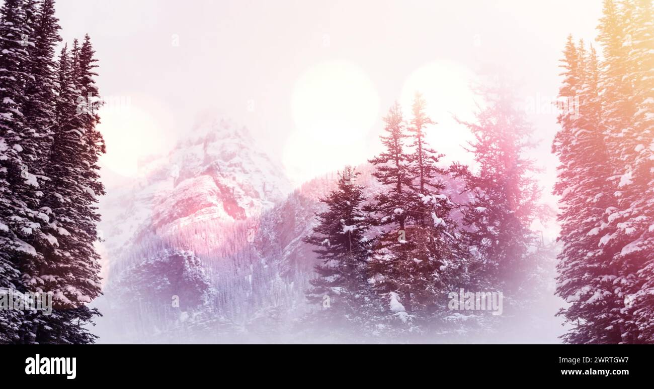 Image de taches de lumière sur la neige tombant et paysage d'hiver Banque D'Images