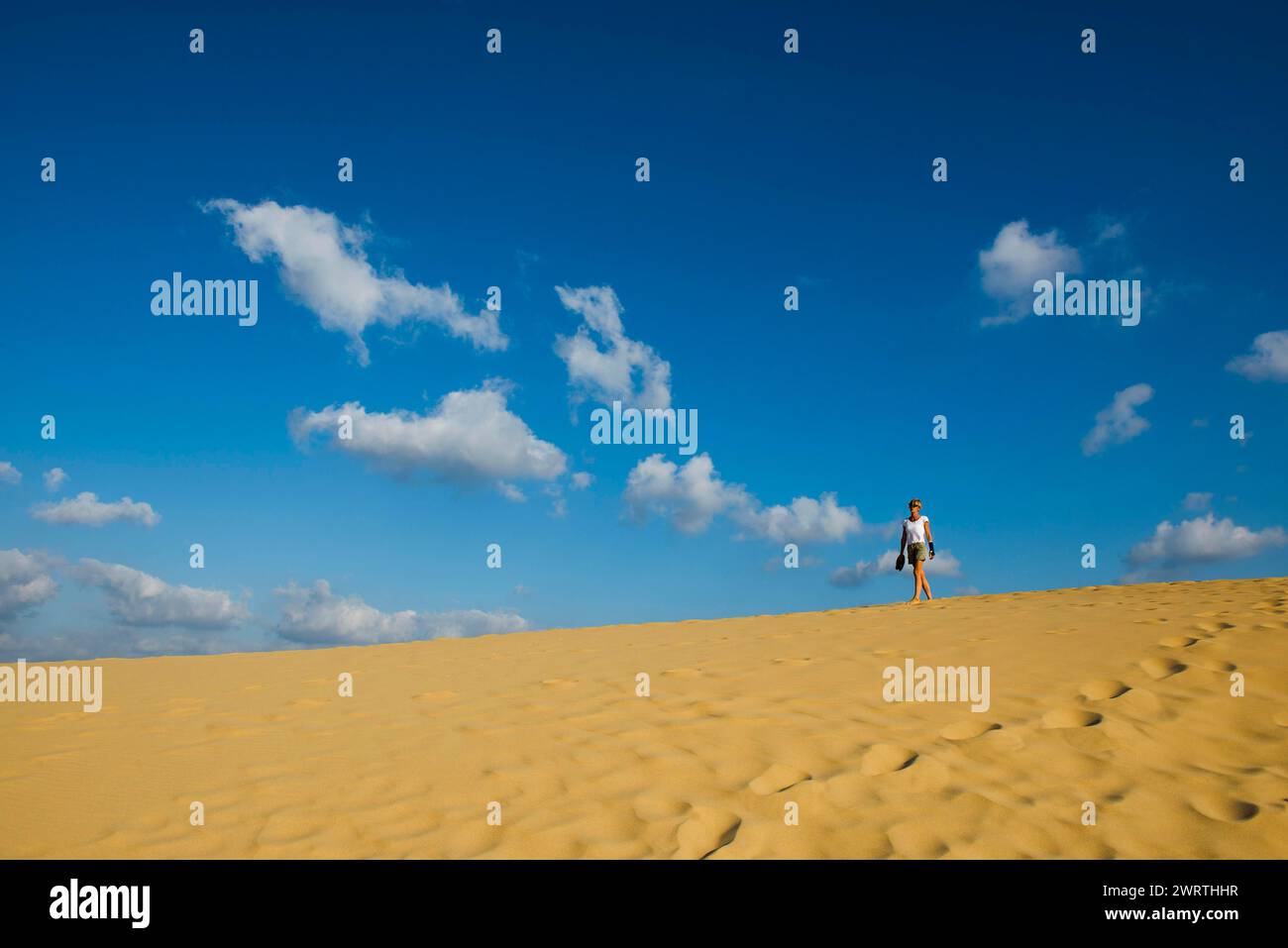 Dunes de sable et de ciel bleu, Praia da Bordeira, Carrapateira, Algarve, côte ouest, Océan Atlantique, Portugal Banque D'Images