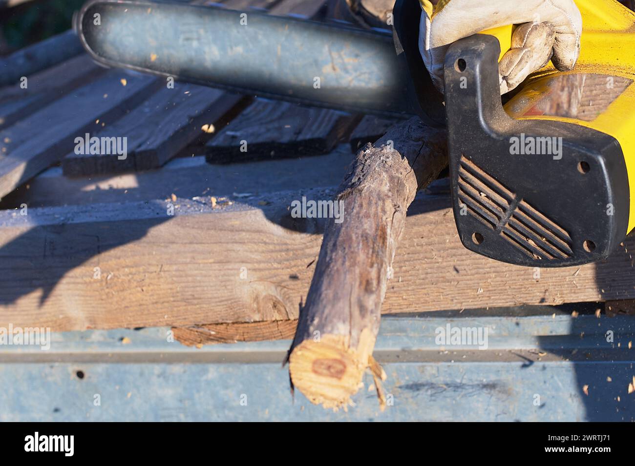 Travailleur coupant du bois à l'extérieur avec une tronçonneuse, concentré et efficace. Banque D'Images