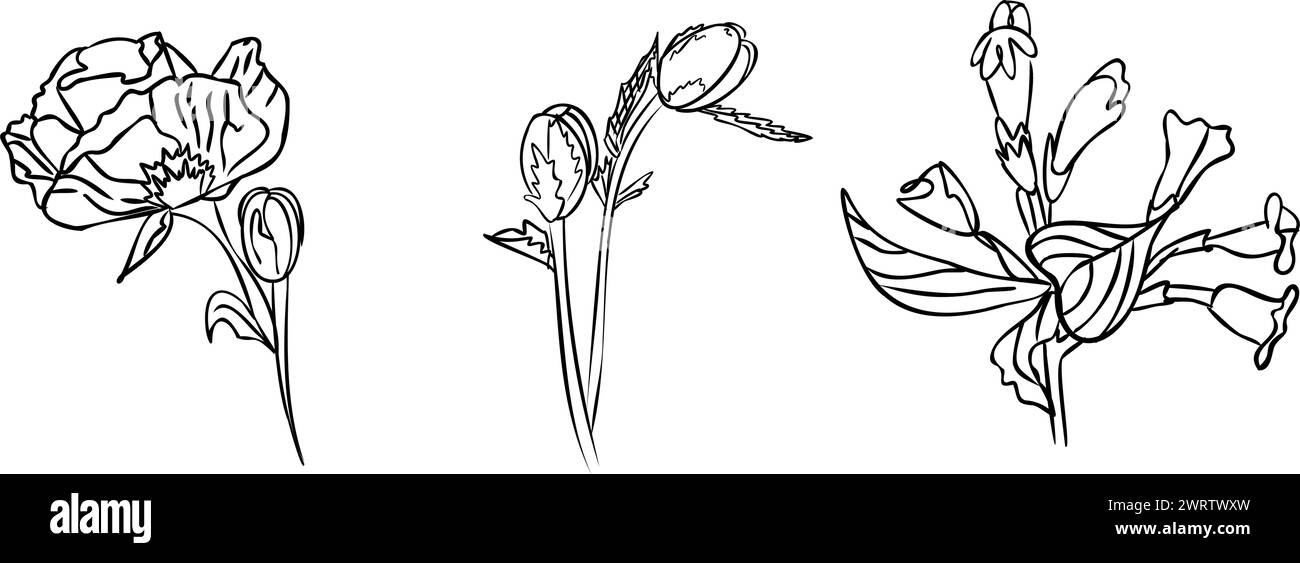 Fleurs Noir et blanc avec illustration vectorielle d'art au trait. Illustration de Vecteur