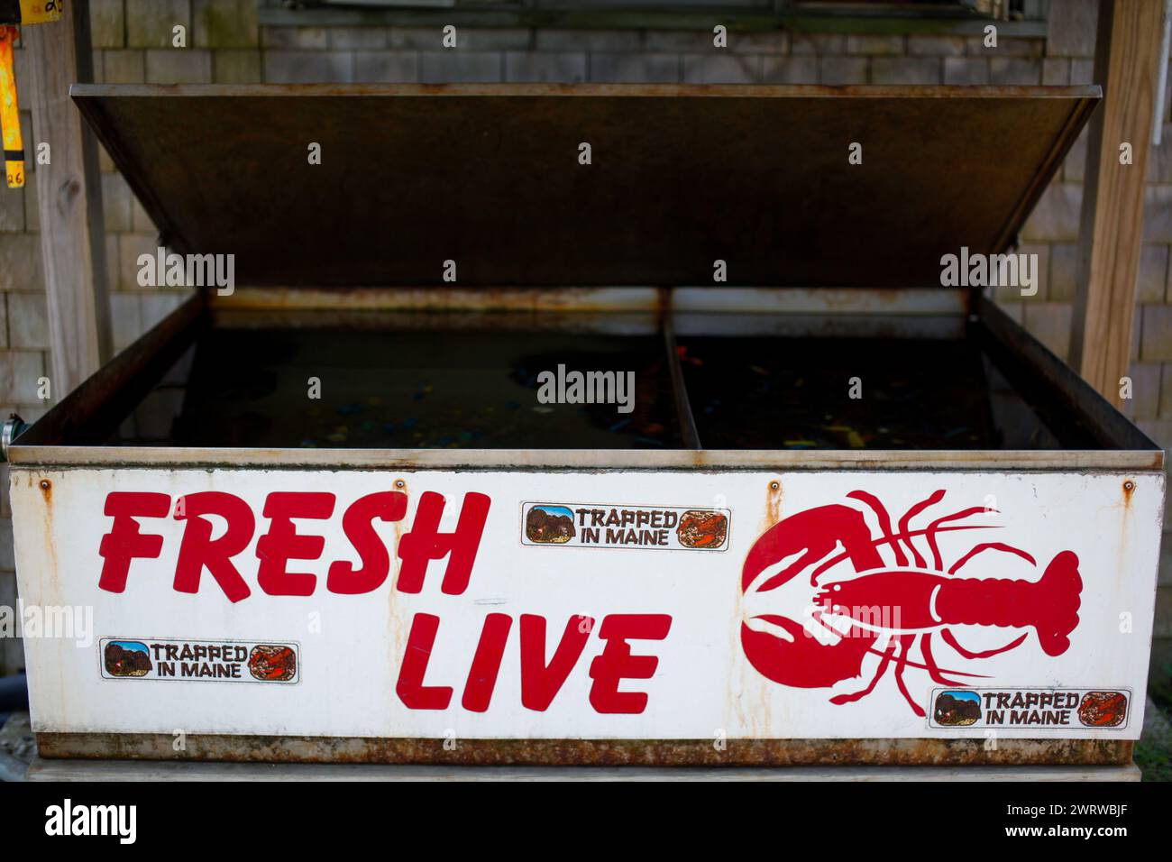 Homards vivants à vendre à Vinalhaven, Maine, USA. Banque D'Images