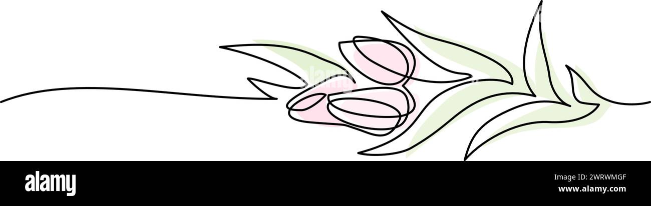 Bordure de rangée décorative de fleurs de tulipes. Dessin continu sur une ligne. Illustration de Vecteur