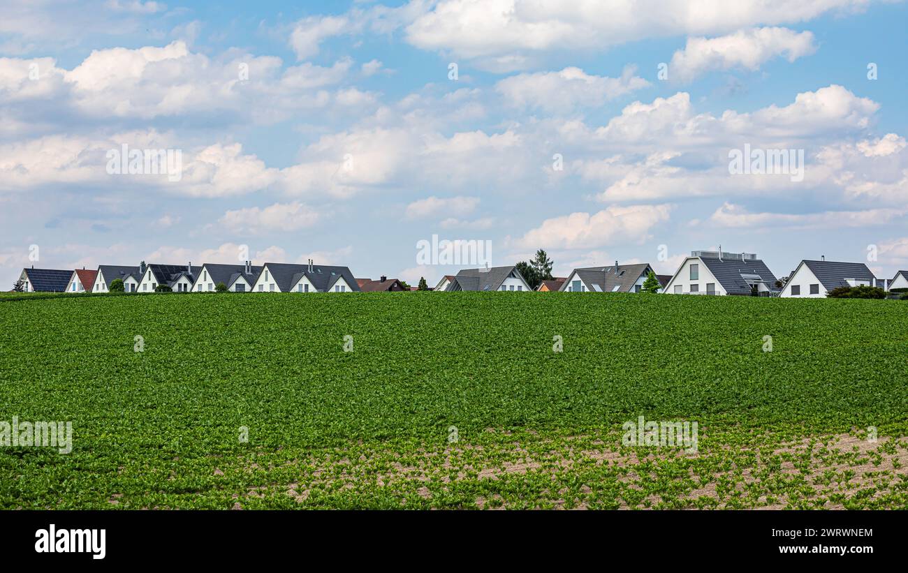 Die Häuser von Höri im Zürcher Unterland vom Nerracherried ausgesehen. (Höri, Schweiz, 03.06.2023) Banque D'Images