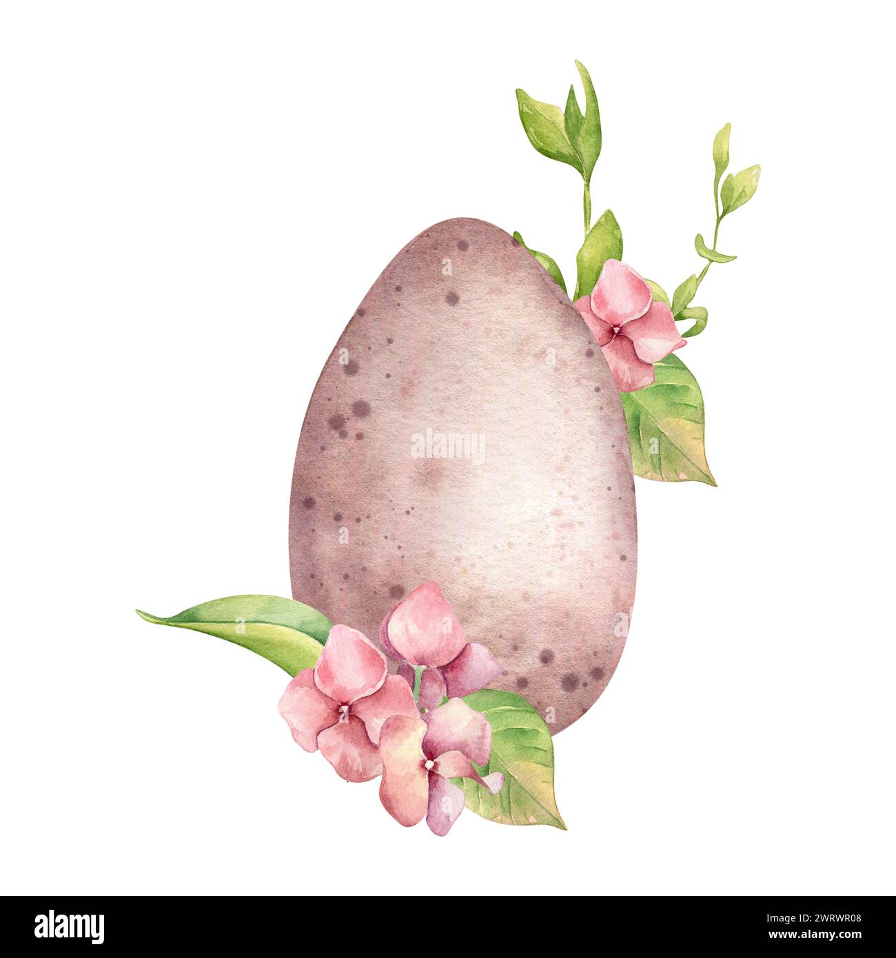 Illustration aquarelle de Pâques avec oeuf coloré et fleurs de printemps isolées sur blanc. Oeuf de Pâques avec hortensia rose peint à la main pour la conception de Pâques i Banque D'Images