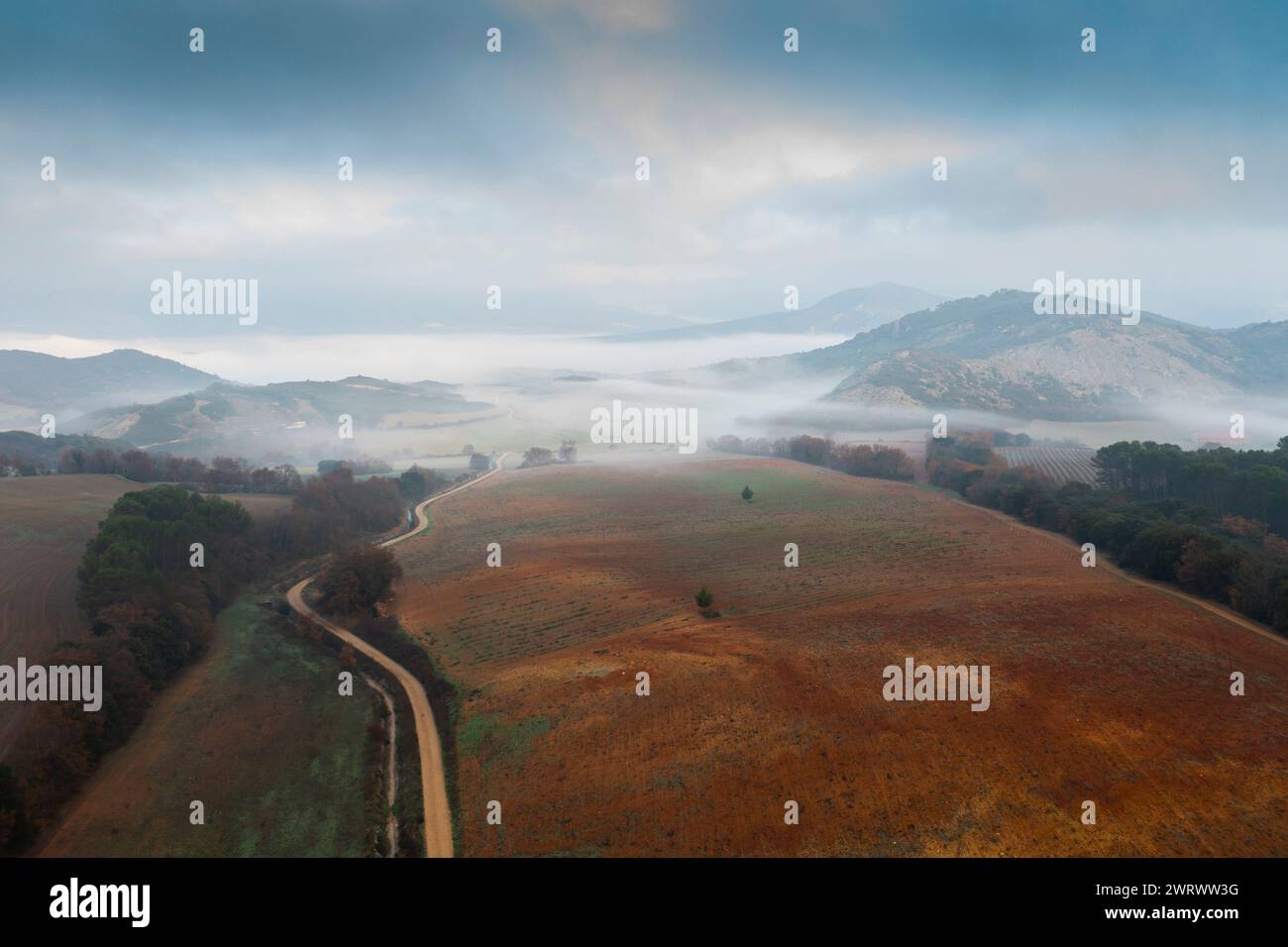 Vue aérienne des parcelles cultivées et des haies en automne avec brouillard. Banque D'Images
