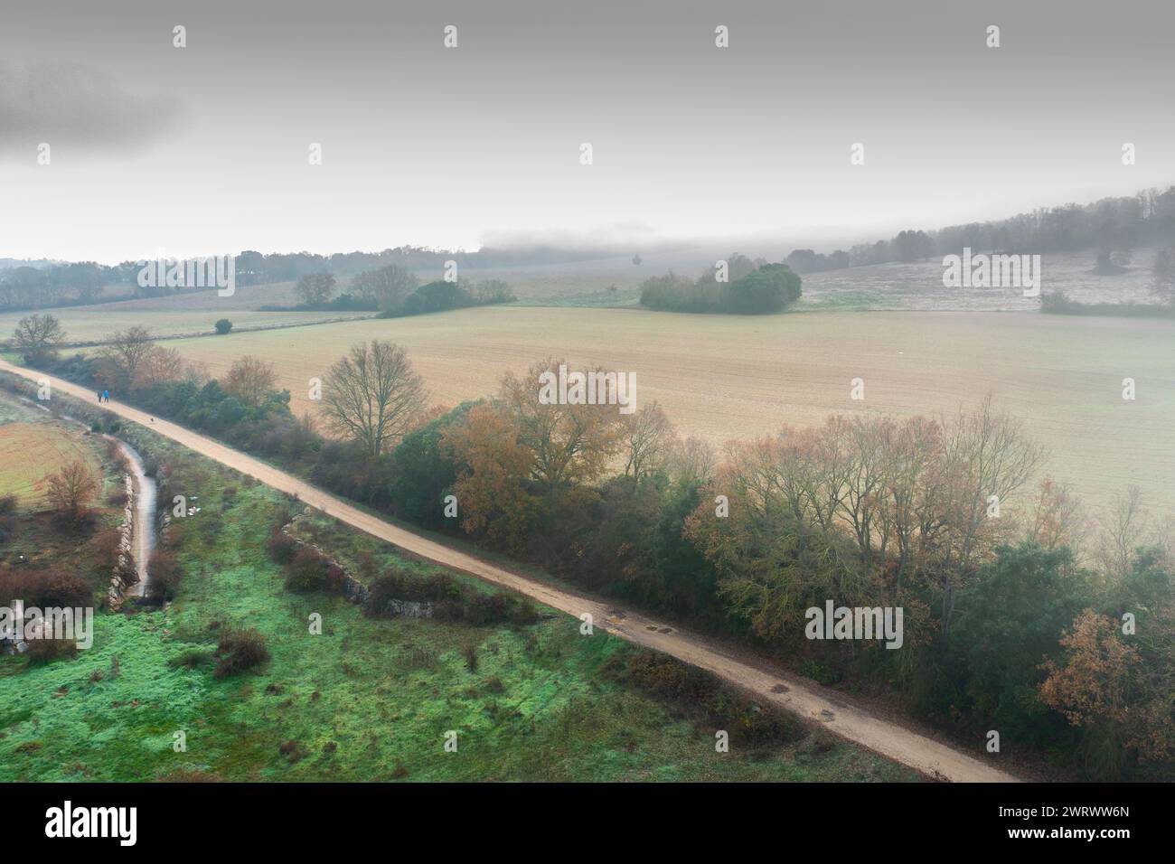 Vue aérienne des parcelles cultivées et chemin et haies en automne avec brouillard. Banque D'Images