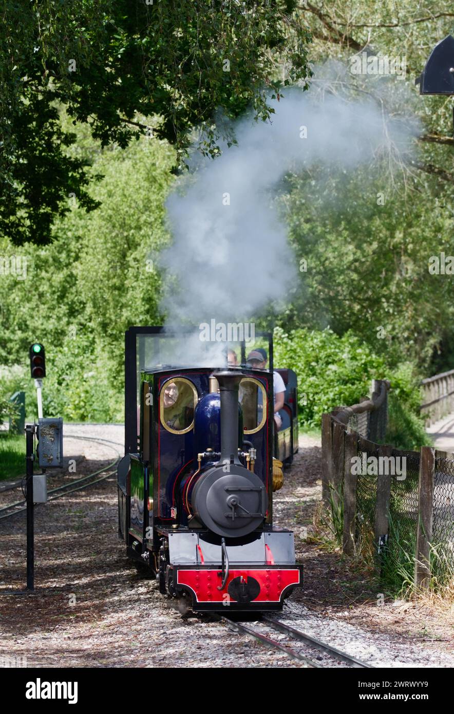Vapeur provenant de la chaudière d'Une locomotive à vapeur à voie étroite de 7 1/4 pouces, Perseus, au Moors Valley Railway, Moors Valley, Royaume-Uni Banque D'Images