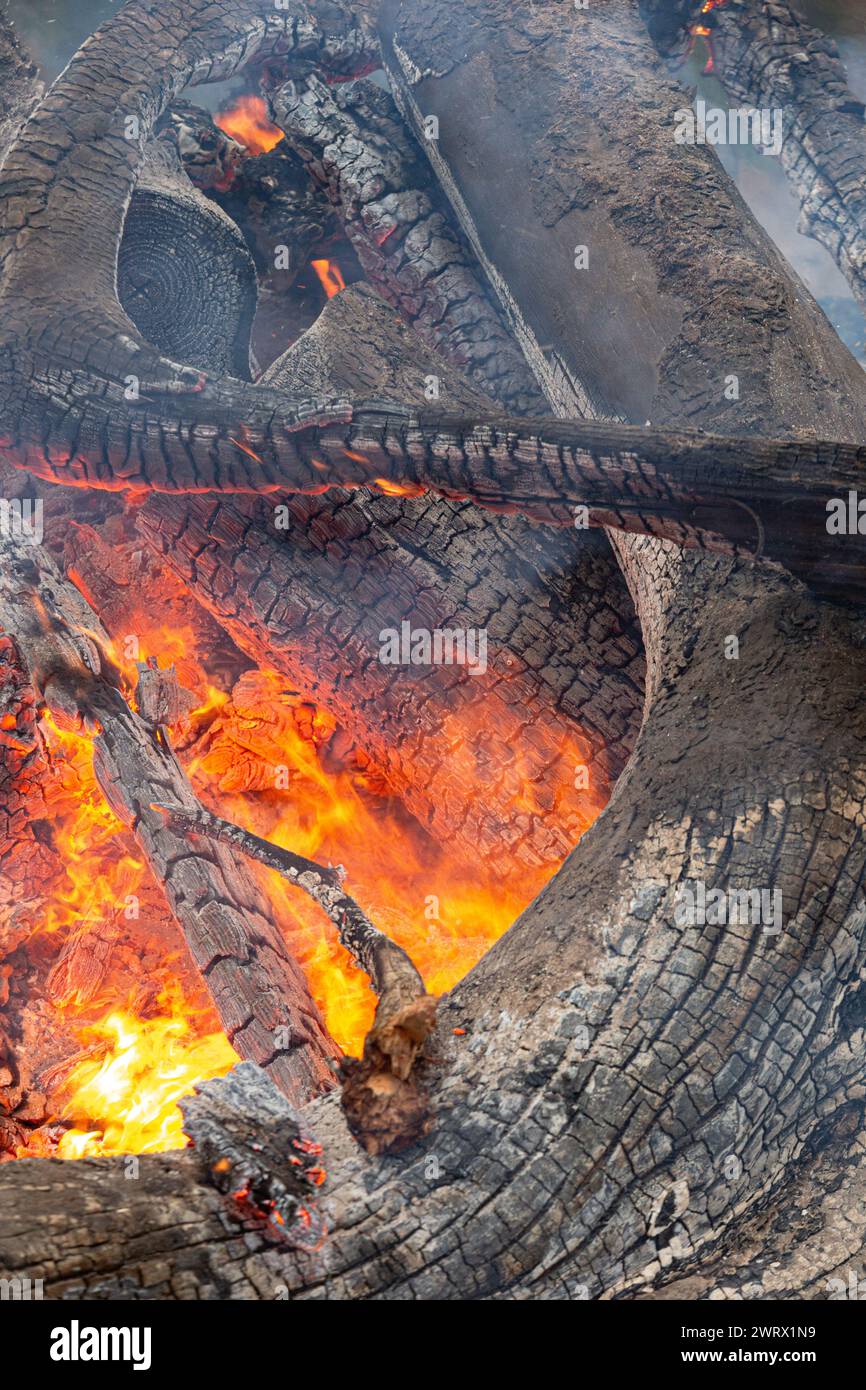 Feu de bois avec flammes et charbon de bois Banque D'Images