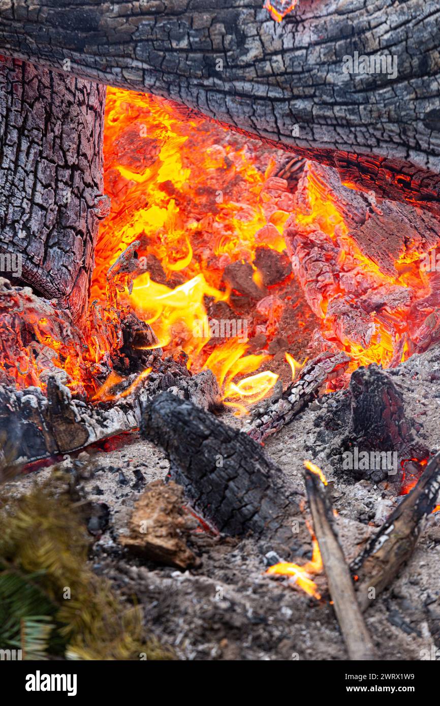 Feu de bois gros plan Banque D'Images