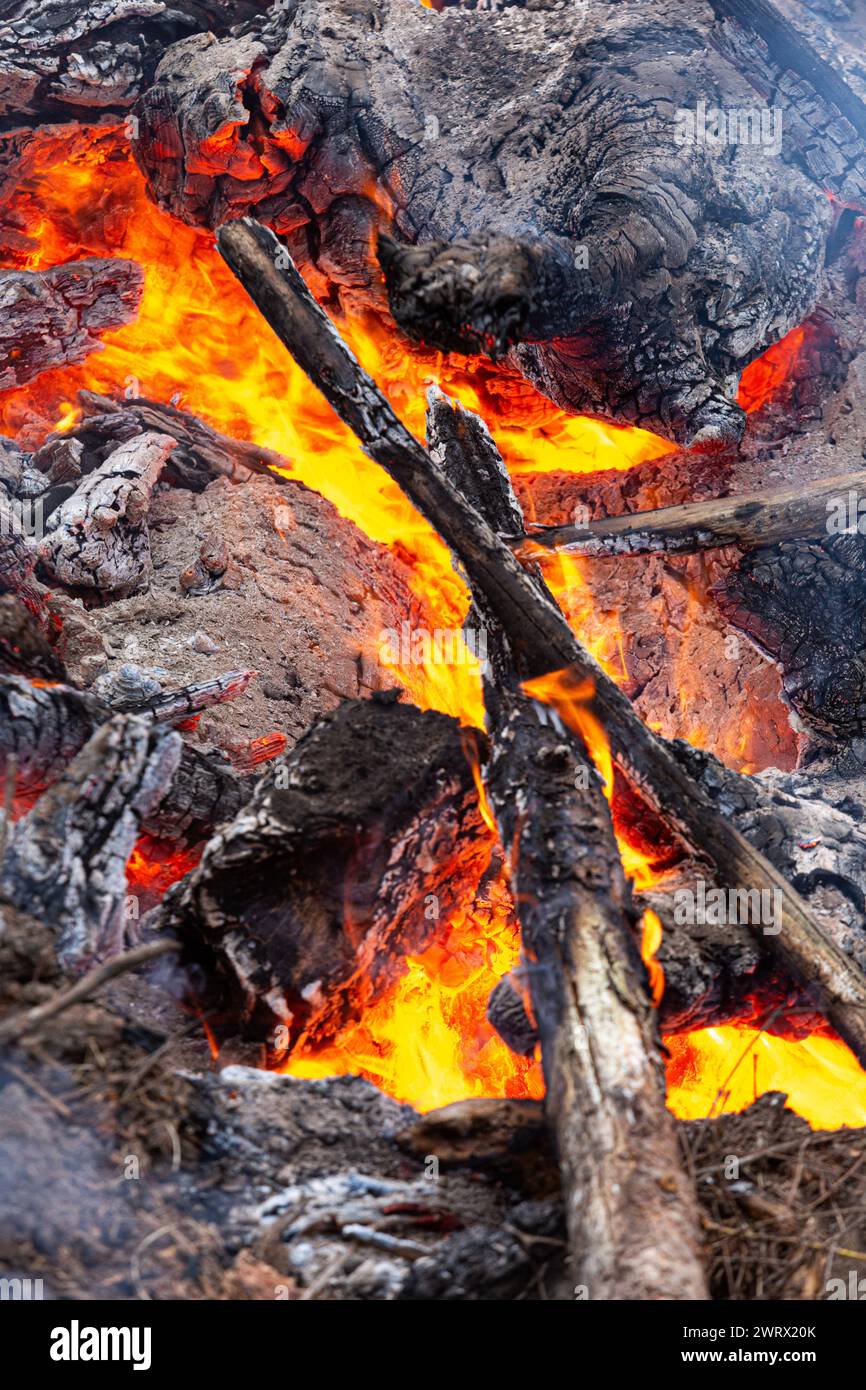 Feu de bois avec des flammes Banque D'Images