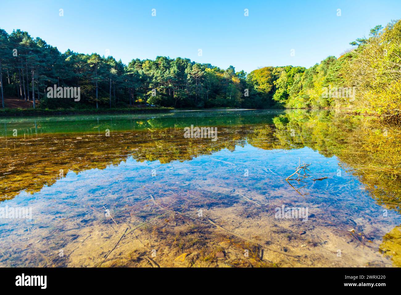 Vue sur le lac Blue Pool, Dorset, Angleterre Banque D'Images