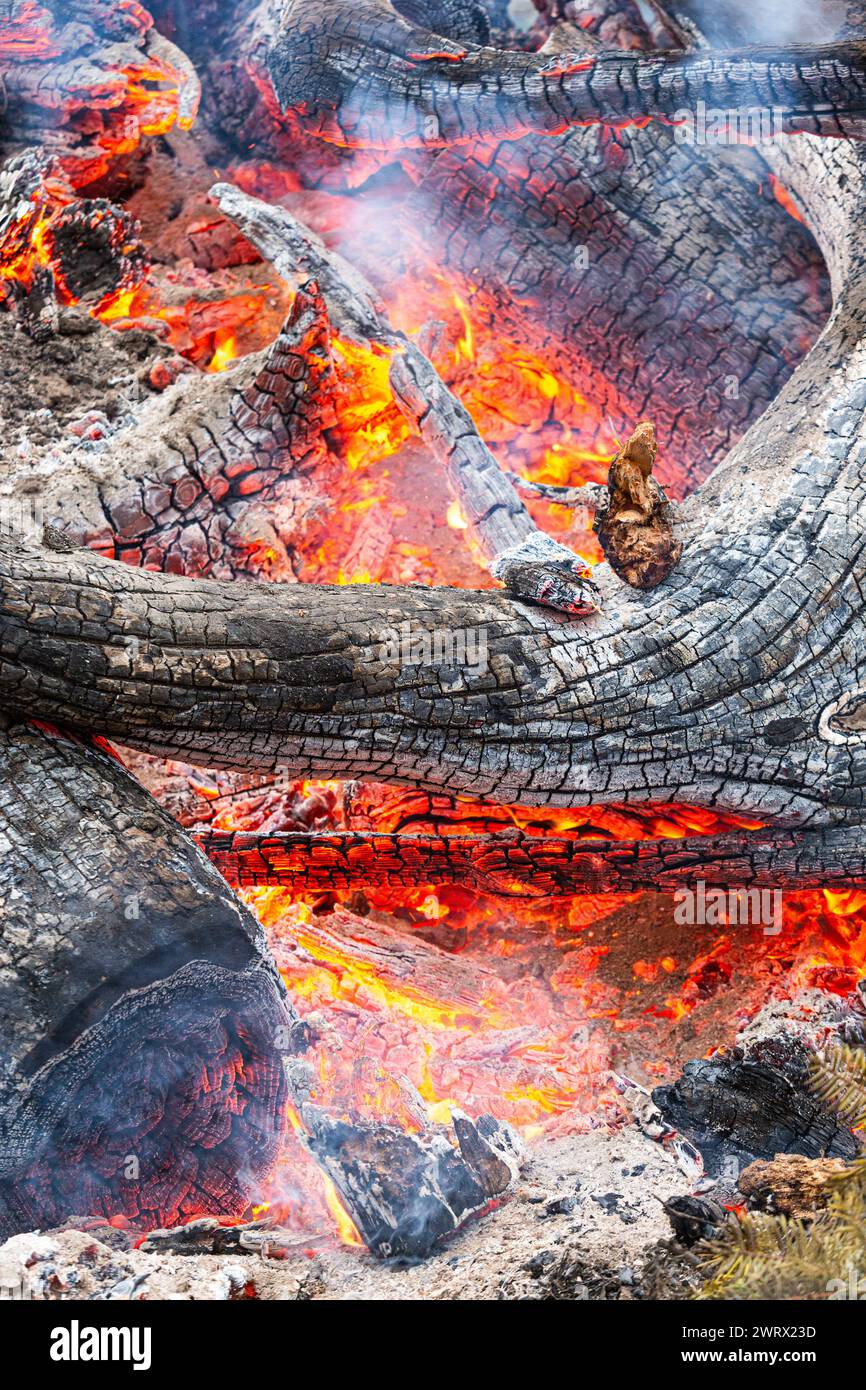 Feu de bois brûlant Banque D'Images