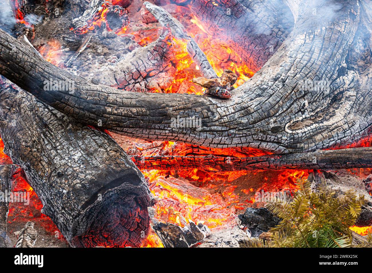 Feu de bois brûlant Banque D'Images