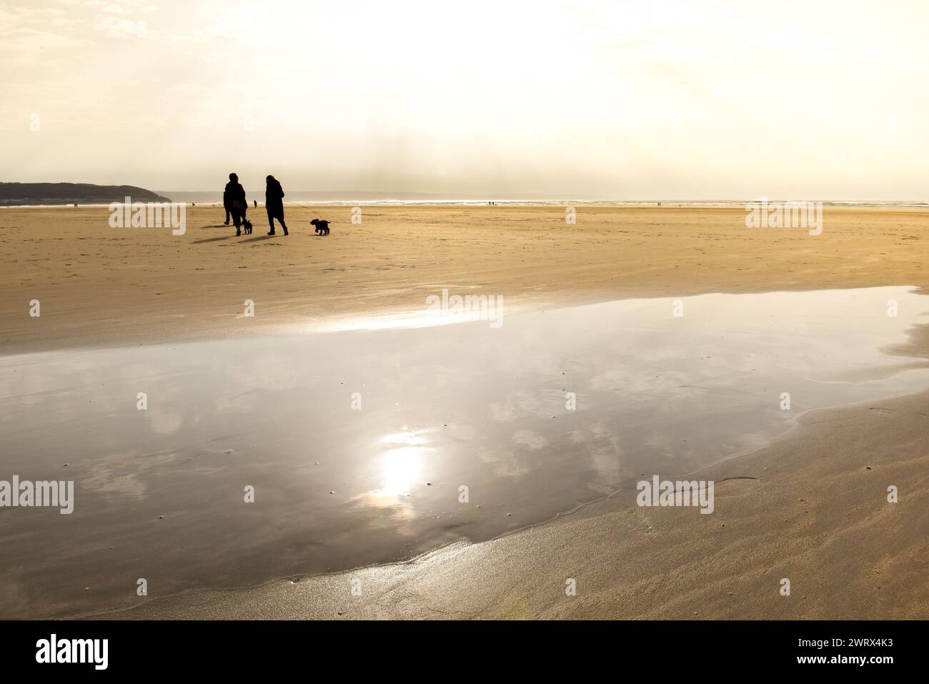 Les gens marchant avec des chiens en silhouette à la plage Banque D'Images