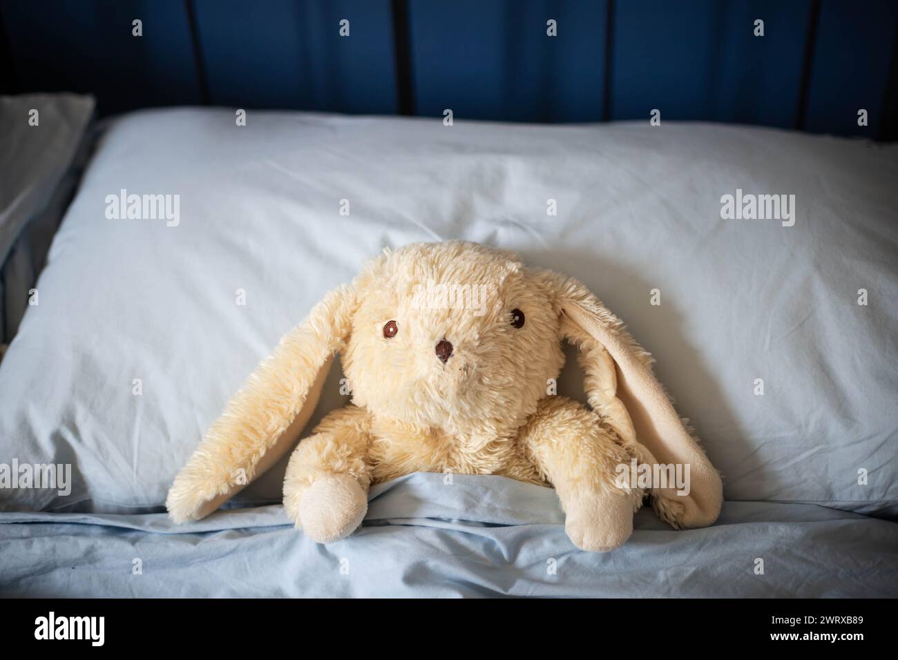 Jouet en peluche lapin blanc posé sous des couvertures dans le lit des parents avec des couvertures bleues et lumière douce du jour. vue centrale. Banque D'Images