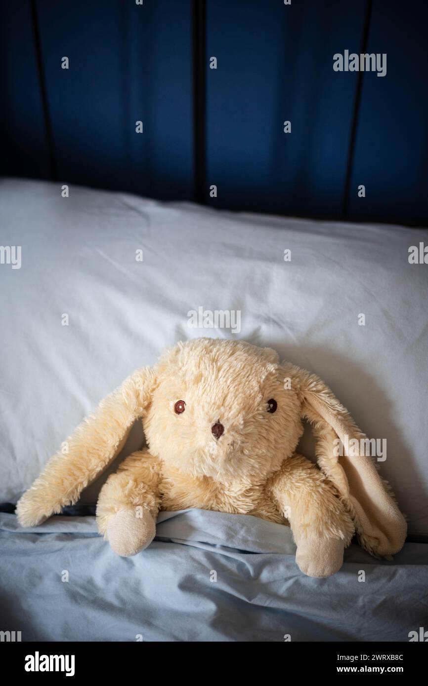 Jouet en peluche lapin blanc posé sous des couvertures dans le lit des parents avec des couvertures bleues et lumière douce du jour. vue centrale, prise de vue verticale. Banque D'Images