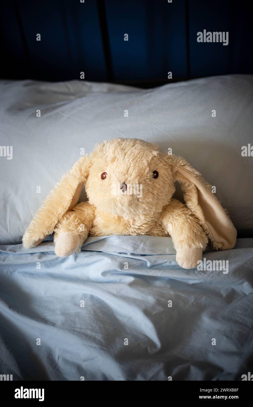 Jouet en peluche lapin blanc posé sous des couvertures dans le lit des parents avec des couvertures bleues et lumière douce du jour. vue centrale, prise de vue verticale. Banque D'Images