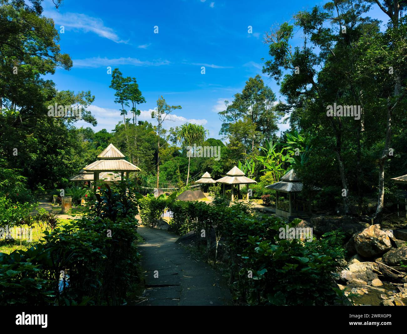 Sentier pittoresque avec des parasols serpentant à travers un paysage de jungle luxuriante Banque D'Images
