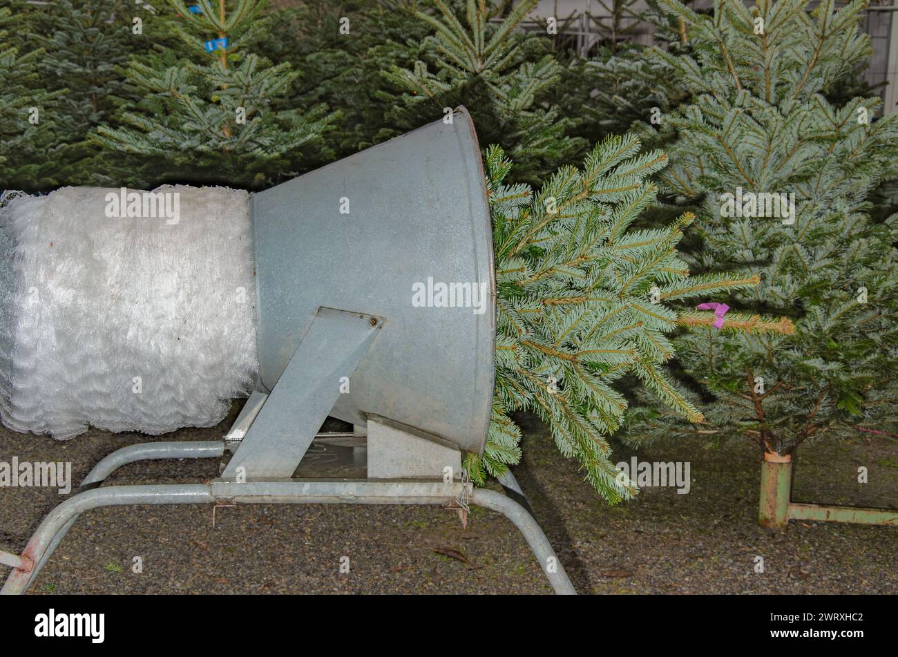 Machine pour envelopper des arbres de Noël. Gros plan. Banque D'Images