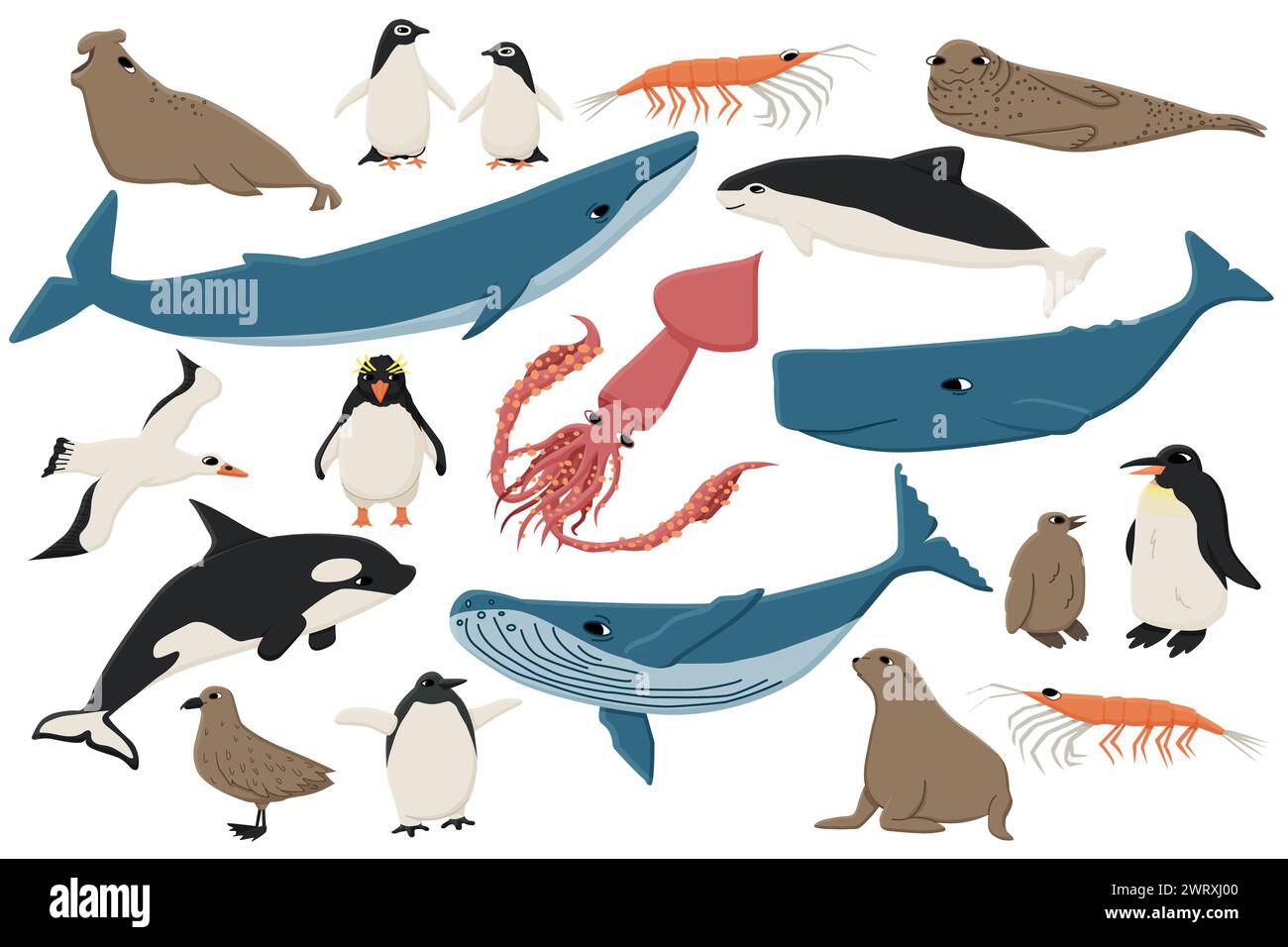 Ensemble d'animaux plats colorés en Antarctique. Collection dessinée à la main de vecteur de baleines, pingouins, skua, krill, phoques, marsouin. Illustration de Vecteur