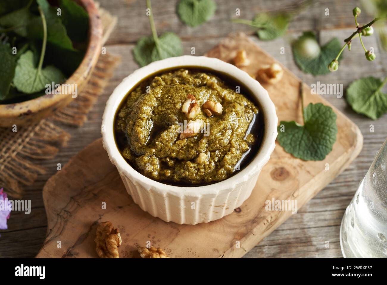 Sauce pesto faite de jeunes feuilles de moutarde à l'ail fraîches - plante sauvage comestible récoltée au début du printemps Banque D'Images